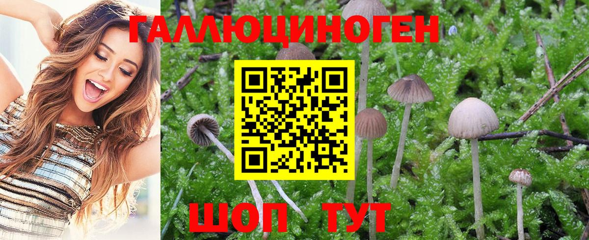 Псилоцибиновые грибы MAGIC MUSHROOMS  Вход с VPN  дарнет шоп  Майкоп 